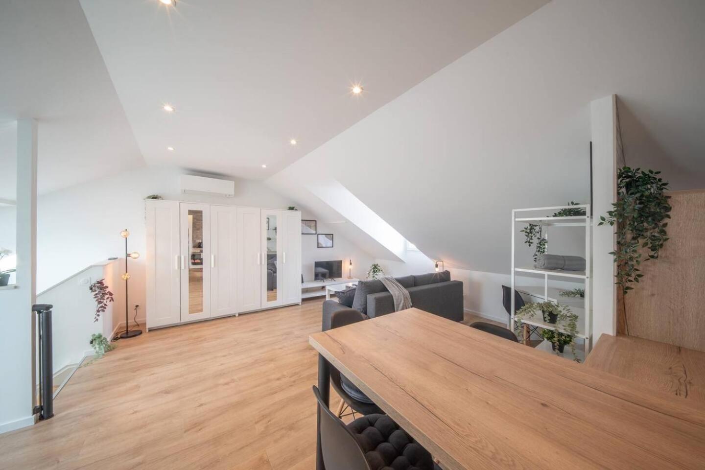 Superbe Appartement Climatise Parking Free Special Eurovision Mulhouse Buitenkant foto